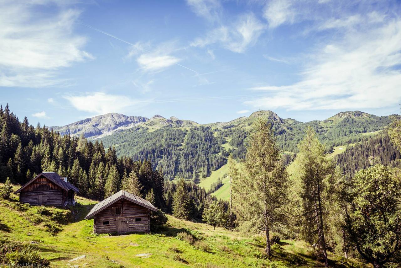 Hotel Alpenrose ツァウヘンゼー エクステリア 写真